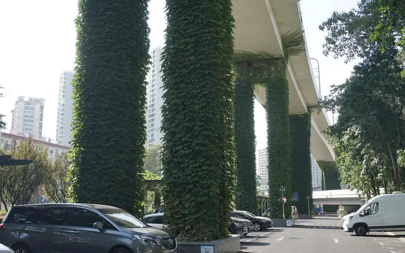 植树造林绿化工程造价