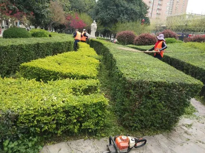 便宜的长沙园林景观设计