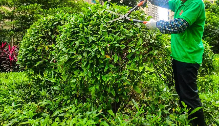 别墅园林景观设计秋景