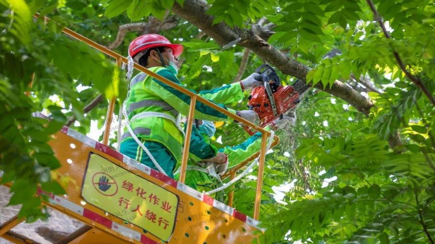 罗西十四组团绿化工程